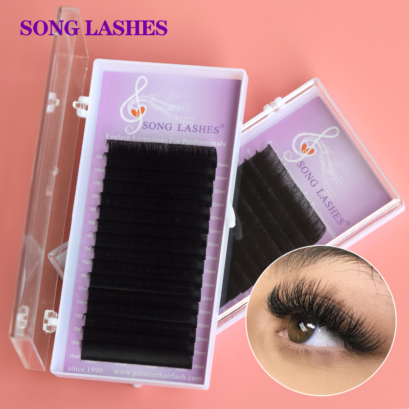 Beauty Makeup Songs - SONG LASHES – Extensions de cils,